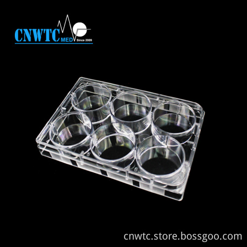 PS 6 Holes Laboratory Tissue Culture Plate